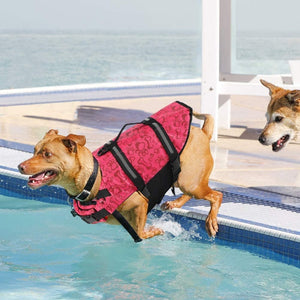 Dog life jackets are perfect for beach days and water sports.