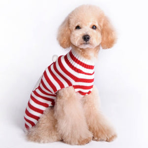 Red-and-White Striped Santa Christmas sweater fits small to medium dog breeds, like a Toy Poodle.