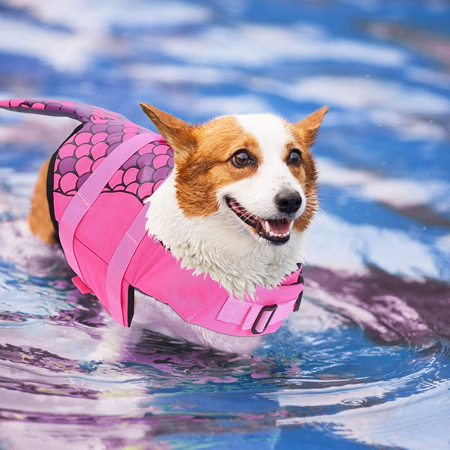 Dog life jackets help to provide water safety for for small, medium and large dog breeds.
