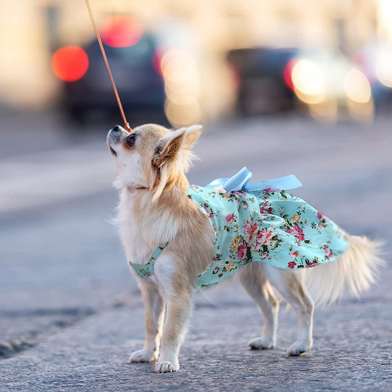 Available in 2 colors, this gorgeous Cottage Rose Cotton Dog Dress Pretty is a refreshing addition to your dog's wardrobe. 