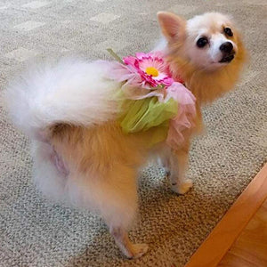 This pretty dog dress is designed for small- to medium-breed dogs.