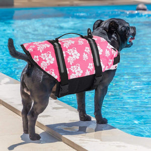 Dog life jackets help to provide safety in the swimming pool.