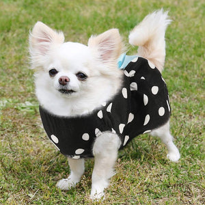 Small dogs look darling wearing this cheerful Black Polka Dot Party Dress, with blue bow.