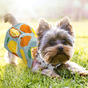 Tropical Fruits Dog Sundress is designed for small dogs.