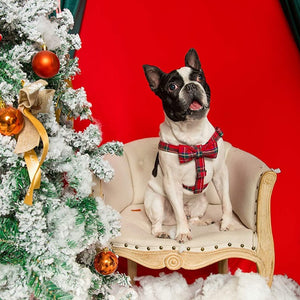This Red Plaid 3-Piece Harness Set is perfect for small, medium and large breed dogs.