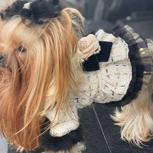 Yorkshire Terrier wearing Chanel-inspired Designer Tweed Dog Dress Coat