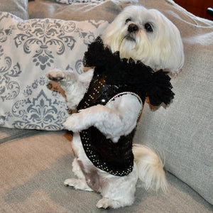 This handmade “Elektra” dress is exquisitely crafted by C’Mimi’s world-renowned pet fashion Designer Jan Ben with the finest details. This luxurious dog dress features glittering black sequins, silver beaded leather trim down the midline and cascading black lace at the neck.