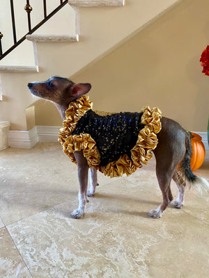 This luxurious couture "Cleopatra" dog dress fits all sizes and is a wonderful addition to your dog’s wardrobe for special occasions including holiday parties, weddings, anniversaries and photoshoots.