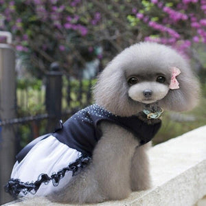 Black & White Lace Bling Dog Party Dress is adorned with rhinestones and a waistline bow.