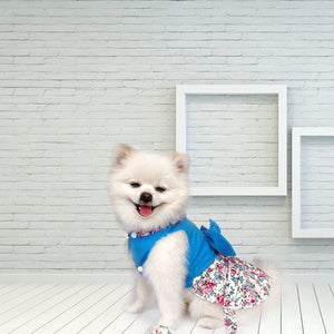 This Blue Floral Harness Dog Dress & Leash Set fits small dogs, such as Chihuahua, Yorkie, Bichon, Corgi, Toy Poodle, Maltese, Pug and puppies.