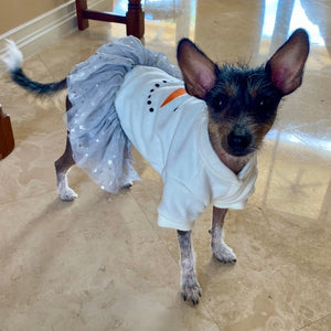 Snowman Tutu Dog Dress fits small and medium dog breeds.