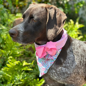 This Cherry Blossoms Bandana Collar with Pink Bow fits XS-XL dogs.