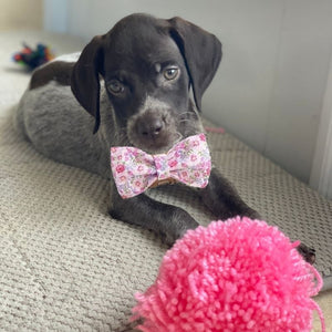 Puppies look adorable in our Spring Flowers Bow Tie Collar & Leash Set.