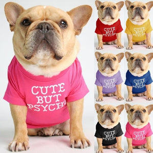 Available in 6 colors, this"Cute but Psycho" Dog T-Shirt fits small, medium and large dog.