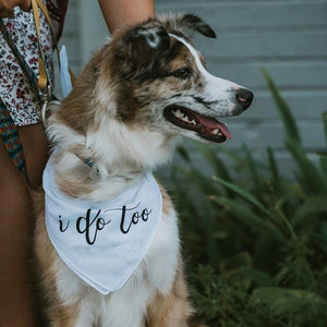 Dog wearing "I Do Too" Wedding Dog Bandana