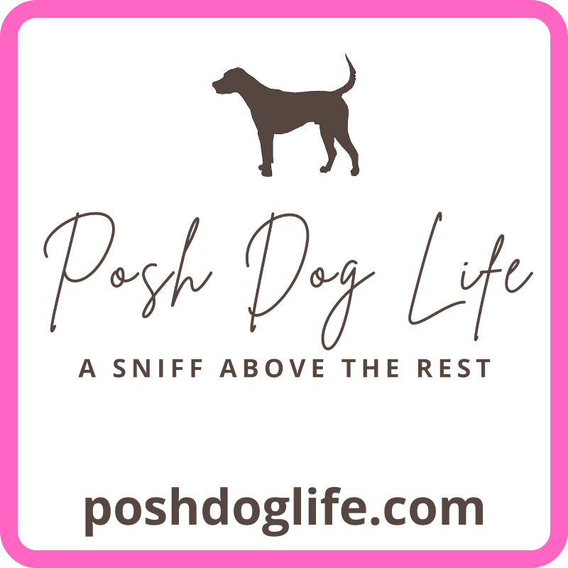 Our Poshdoglife.com Gift Cards are the perfect present for dog lovers so they can spoil their fur babies rotten. E-gift cards come in $25, $50 or $100 denominations.g l