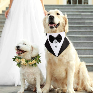 This Tuxedo Bow Tie Buckle Dog Collar is perfect for weddings and black-tie affairs.