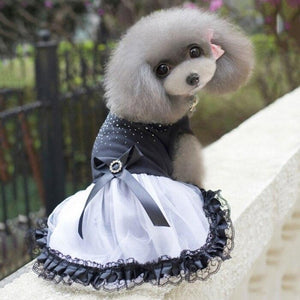  Black & White Lace Bling Dog Party Dress is perfect for small- to medium-breed dogs weighing up to 16.5 lbs (7.5 kg) for weddings, anniversaries, photoshoots and special occasions.