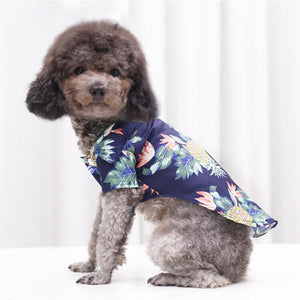 Poodle wearing Navy Pineapple Hawaiian Dog Shirt.