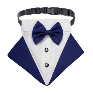 Blue Tuxedo Bow Tie Buckle Dog collar
