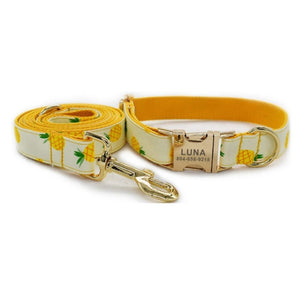 Sweet Pineapple Bow Tie Dog Collar & Leash Set | Personalized Free