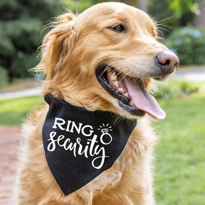 Golden Retriever wearing a "Ring Security" wedding dog bandana.