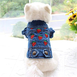 This sweet Strawberry Denim Dog Jacket fits small breed dogs, including Chihuahua, Yorkshire Terrier, Shih Tzu, French Bulldog, Toy Poodles and puppies.