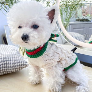 This Green & Red Wooden Button Knit Dog Sweater is perfect for Christmas.