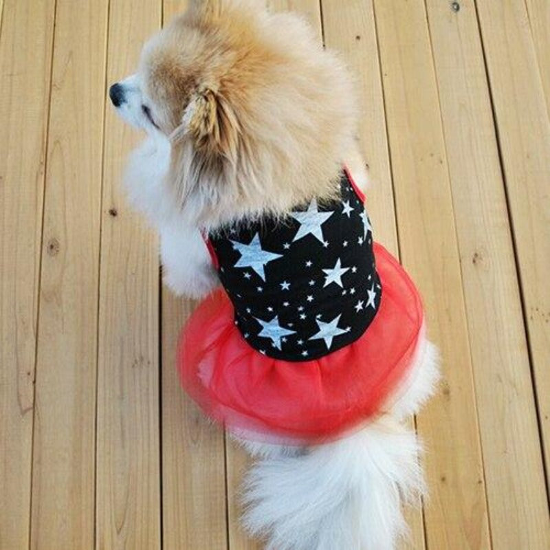  This red, white and black Patriotic Stars Dog Dress is perfect for small breed dogs for everyday outings.