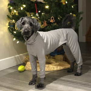 This Gray Long-Sleeved Turtleneck dog sweater is comfy for cold days.