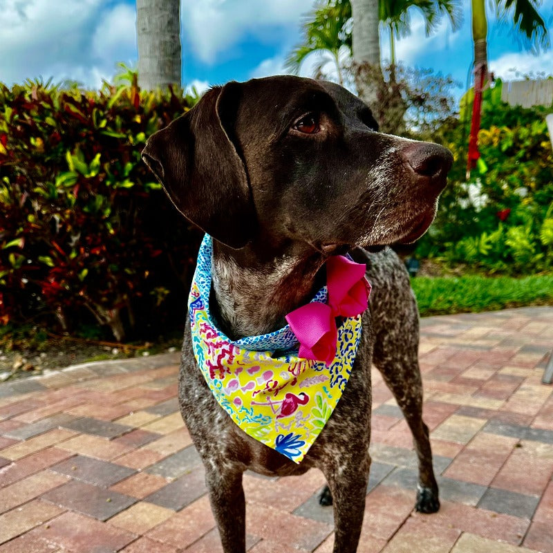 Tropical Miami Yellow Bandana Dog Collar With Bow
