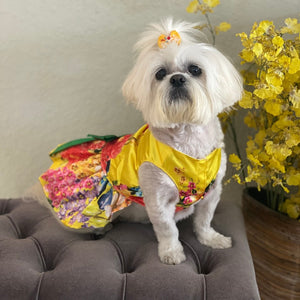 This Yellow Floral Dog Party Dress is stunning on small dogs.