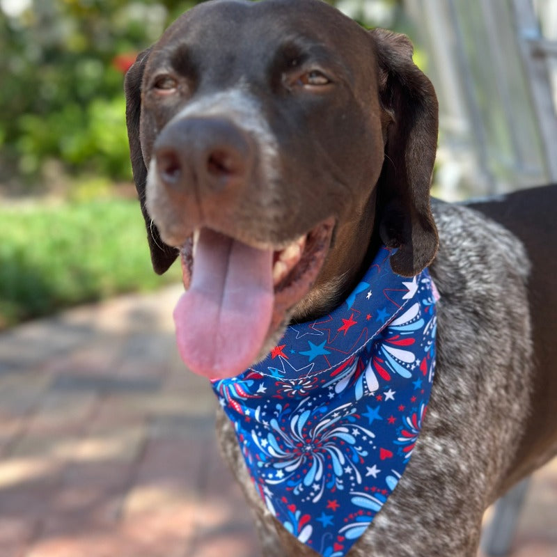 Handmade in the USA by Chloe & Max, this Fireworks Bandana features Americana red, white and blue, with stars trim and backing.