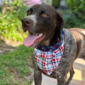 These gorgeous buckle bandana dog collars come in 5 sizes XS-XL and snap on easily.