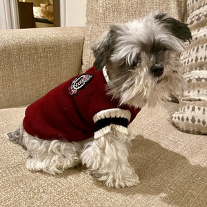 Pups look darling in this burgundy red preppy V-neck dog sweater pullover.