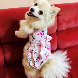 Lightweight for the hottest summer days, this sweet floral dog dress keeps your pup cool.