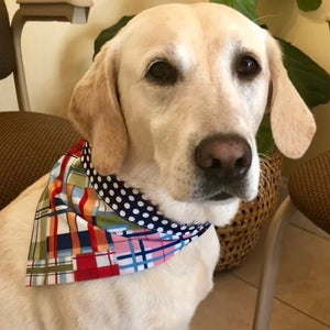 These gorgeous buckle bandana dog collars come in 5 sizes XS-XL and snap on easily. 