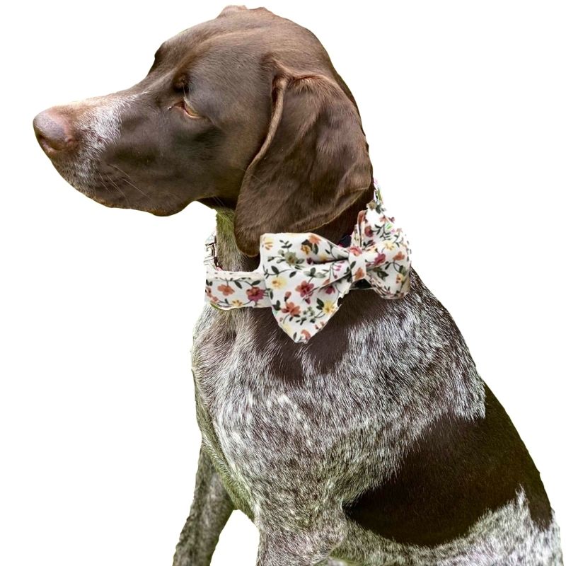 Our luxurious White Floral Bow Tie Dog Collar & Leash Set is a best seller.