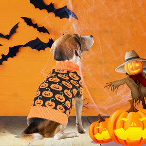 Your dog will look adorable in this Halloween Pumpkin Dog Sweater in orange and black.
