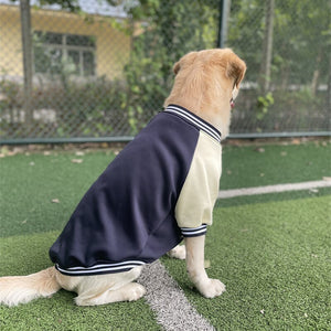 This sporty Large Dog Varsity Player Jacket will keep your athletic dog warm all fall and winter. 