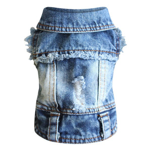 Frayed Denim Dog Jacket  is designed with rips and white-washed elements for style.