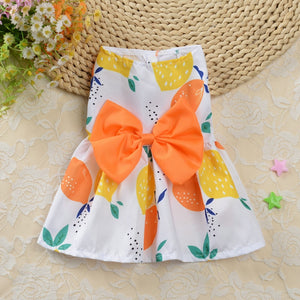 Orange and Lemons Dog Dress from our Spring/Summer collection fits small dogs, such as Chihuahua, Yorkie, Bichon, Corgi, Pomeranian, Toy Poodle, Maltese, Pug and puppies. 