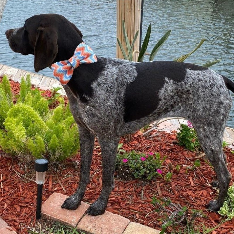Our Summer Seaside Bow Tie Dog Collar & Leash Sets are best sellers.