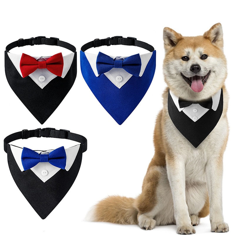 Large Dog Tuxedo Bow Tie Collar comes in 4 colors.