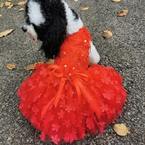 Suitable for any season and available in 5 sizes, this luxurious dog dress is perfect for small-breed dogs such as Yorkies, Maltese and Poodles for weddings, anniversaries, photoshoots and special occasions