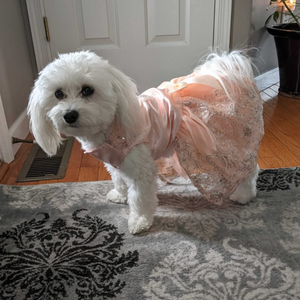 Your small- to medium-sized fur baby will look like a princess in this luxurious Pink Lace Embroidered Party  Dog Dress, crafted with sequins.