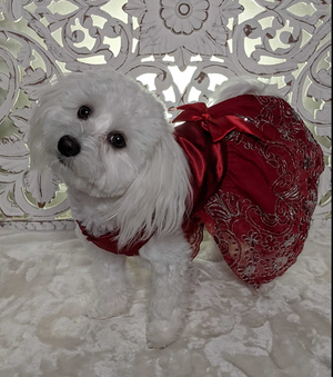 Small dogs look exquisite wearing this Red Lace Embroidered Party Dress with sequins.