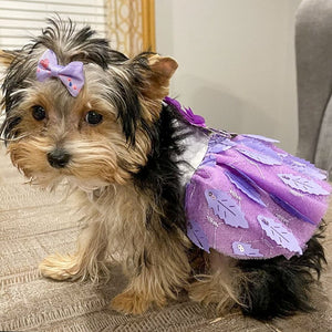 Available in 2 colors, this satin dog dress is perfect for small to medium breed dogs for weddings, anniversaries, photoshoots and special occasions.