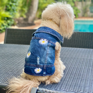 Channel your dog's inner flower child with this darling Daisy Denim Jacket from our Spring/Summer collection.