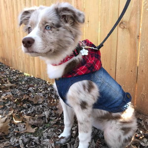 Puppies look adorable in this Red Plaid Hoodie Spring Denim Dog Jacket.